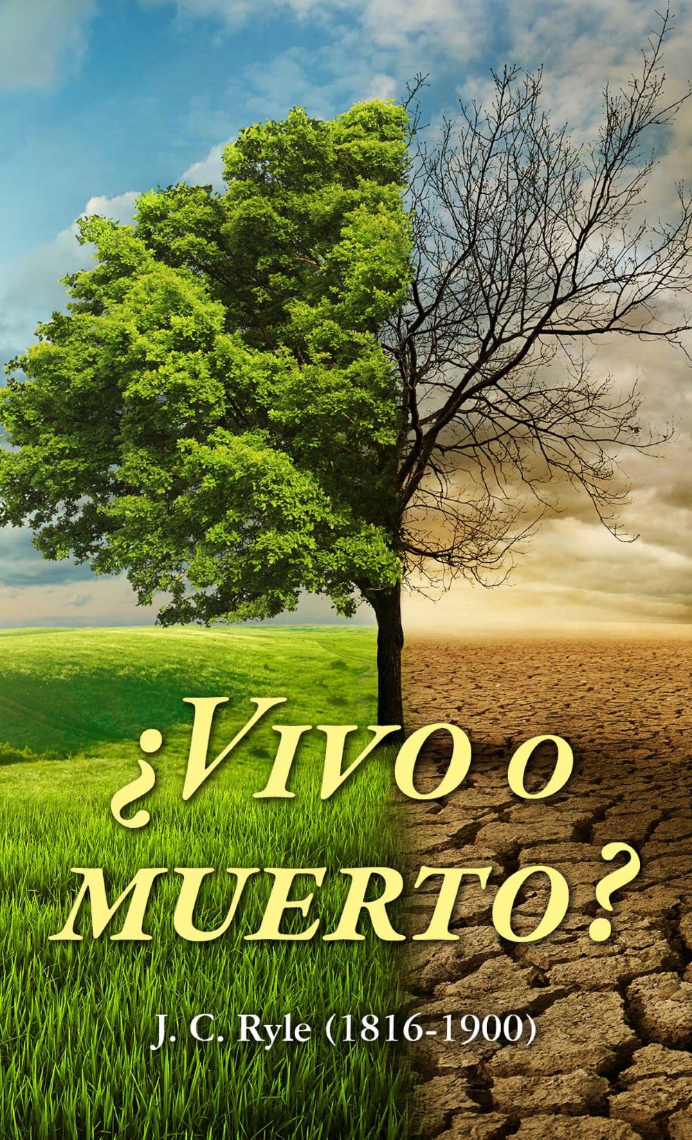 Cover of ¿Vivo o muerto?