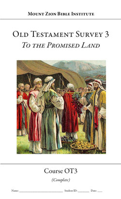 Old Testament Survey, Part 3: To the Promised Land Bible study