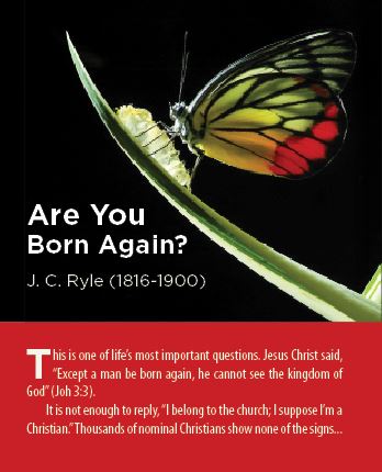 Cover of Are You Born Again? (Full Color)