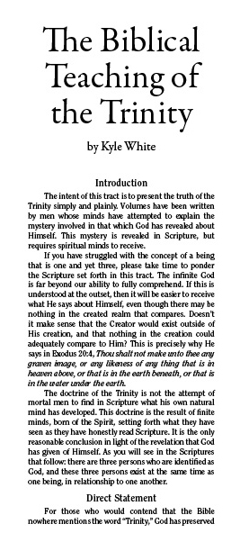 Cover of The Biblical Teaching of the Trinity