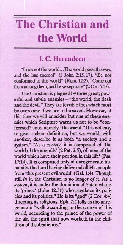 Cover of Christian and the World, The