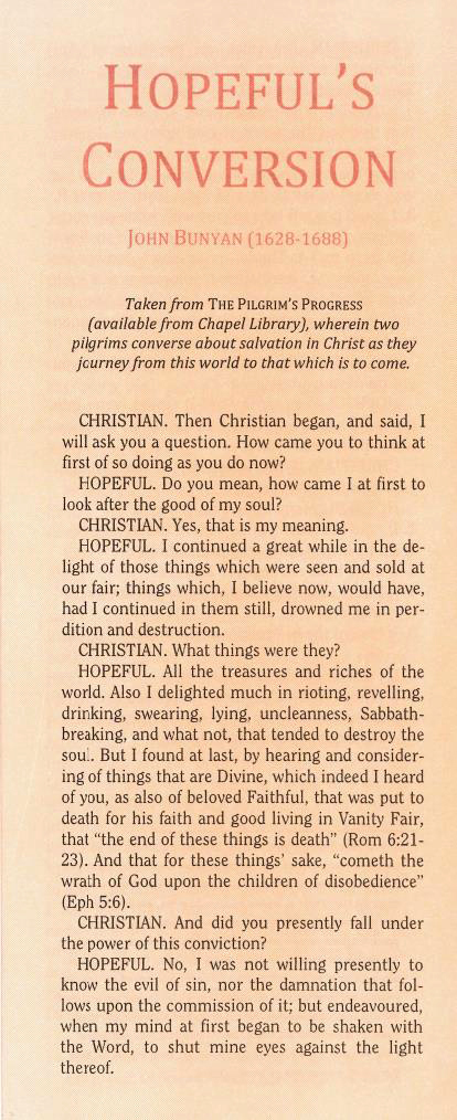 Cover of Hopeful's Conversion