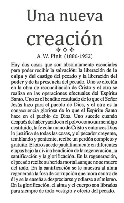 Cover of Una nueva creación