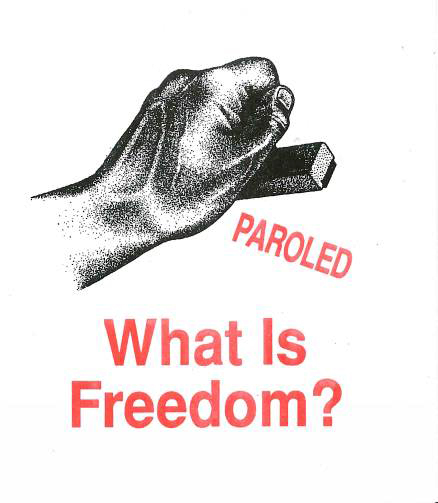 Cover of What Is Freedom?