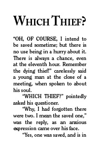 Cover of Which Thief?